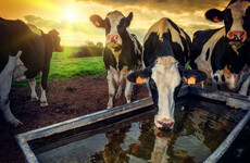Opinion: Castigating farmers won’t reduce agricultural carbon emissions