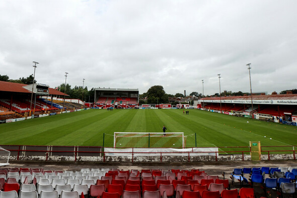Shelbourne branch out with world's first forest dedicated to a football club - Vimarsana News