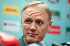 Joe Schmidt set to join All Blacks as selector - reports
