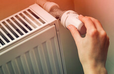 Cabinet approves €100 payment for all electricity customers