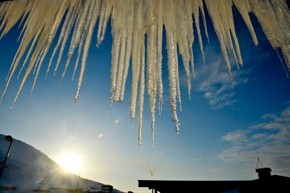 Record temperatures of 38 degrees measured in Arctic during 2020 heatwave - Vimarsana News