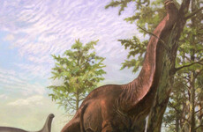 Sauropod dinosaurs preferred warmer regions of Earth, study suggests