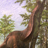 Sauropod dinosaurs preferred warmer regions of Earth, study suggests