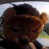 Belarus releases two men on bail over teddy bear stunt