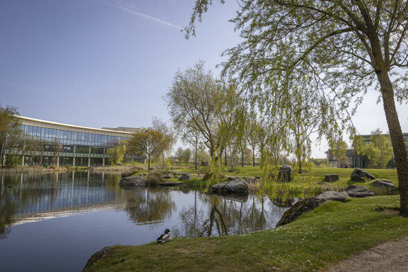 'There's a great atmosphere here': Locals share what they love most about Citywest - Vimarsana News