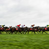 4 tips for the Leopardstown Christmas Festival - plus your €5 free bet