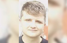 Gardaí appeal for help in finding missing man (21)