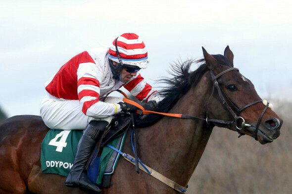 'A glass of wine is the short-term plan!' - Master McShee seals Grade 1 win for Waterford trainer - Vimarsana News
