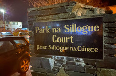 Man appears in court charged with murder of woman in Wicklow