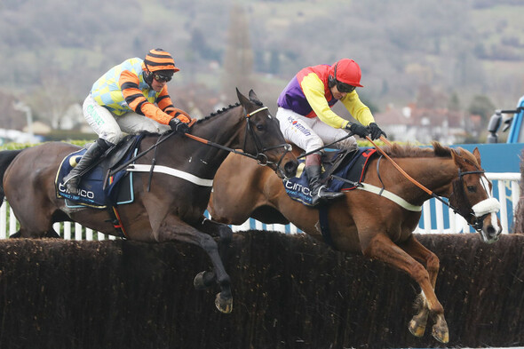 End of an era as 2018 Cheltenham Gold Cup winner heads for well-deserved retirement - Vimarsana News