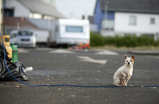Minister warned of 'serious risk of loss of life' at Cork halting site due to safety issues