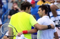 Djokovic gains revenge against del Potro to set up Federer final