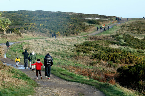Yesterday marked the mildest New Year's Eve on record in Ireland - Vimarsana News