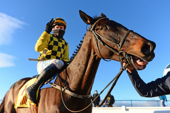 Business as usual for Al Boum Photo as he wins for Willie Mullins in Tramore - Vimarsana News