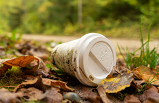Littering in Irish urban centres increased during 2021 - here are the cleanest towns and cities