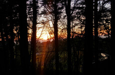 Poll: Have you noticed a grand auld stretch in the evening?