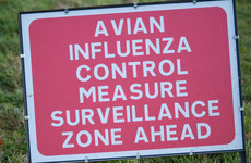Human case of bird flu detected in south west of England