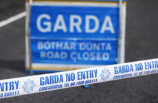 Man (20s) seriously injured in single-vehicle collision in Dalkey last night