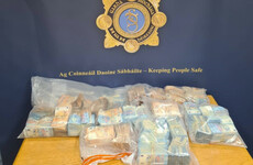 Gardaí seize almost €500,000 in cash they allege belongs to organised crime group