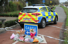 Gardaí renew appeal for help to catch Ashling Murphy's killer and announce dedicated tip line