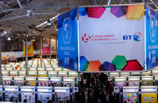 Two Dublin students take home this year's top award at the BT Young Scientist Exhibition