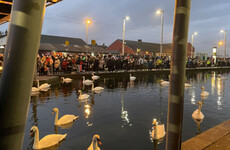 Vigils continue across island of Ireland for Ashling Murphy