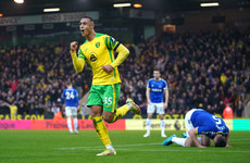 Adam Idah scores first Premier League goal in Norwich's massive win over Everton