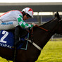 Mister Fisher proves too good in Silviniaco Conti
