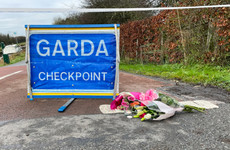 Ashling Murphy murder: Gardaí carry out searches as investigation continues
