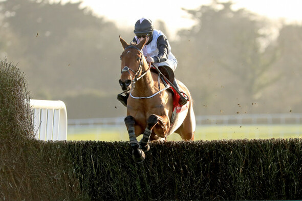 Bob Olinger sparkles for Blackmore and de Bromhead at Punchestown - Vimarsana News