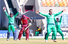 Ireland's cricketers clinch massive series win against the West Indies