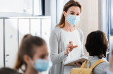 Problem with schools helpline that prevented antigens being registered is fixed, HSE says