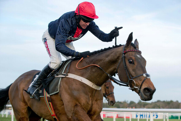 Geraghty and Henderson pay tribute to 'absolute legend' Bobs Worth - Vimarsana News