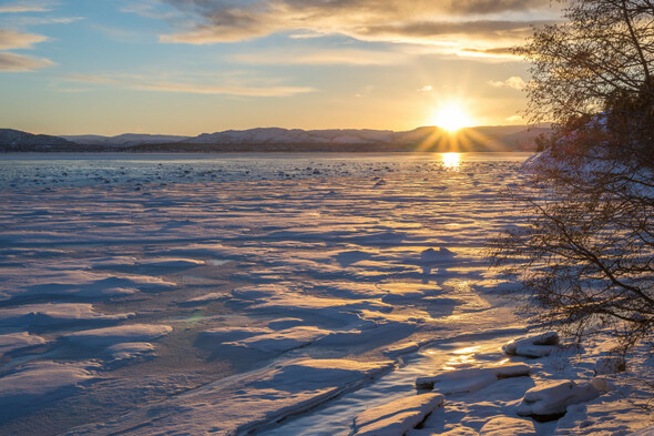 Sitdown Sunday: How the climate crisis is turning the Arctic green - Vimarsana News