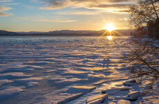 Sitdown Sunday: How the climate crisis is turning the Arctic green