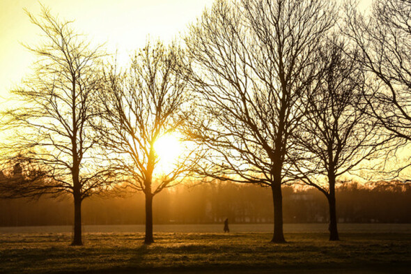 Quiz: Where were these photos of 'grand stretches in the evening' taken? - Vimarsana News