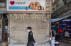 Hong Kong warns animal lovers not to obstruct hamster cull