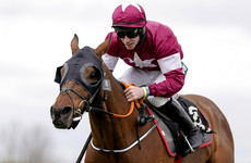 Tiger Roll finishes down the field but shows promise at Navan