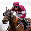 Tiger Roll finishes down the field but shows promise at Navan