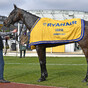Allaho proves different class at Thurles