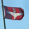 Parachute Regiment flags appear in Derry ahead of 50th anniversary of Bloody Sunday