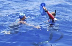 Diana Nyad pulled from water during Cuba-US swim