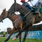 Echoes of Numbersixvalverde for Brassil with Longhouse Poet