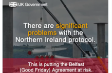 Irish politicians criticise 'deceitful' British Government social media video about the Protocol