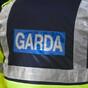 Man dies from injuries after trying to prevent the theft of his car in Dublin