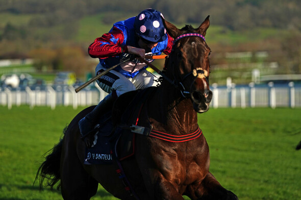 Paisley Park records astonishing Cleeve Hurdle triumph - Vimarsana News