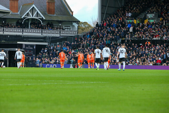 Fulham pay tribute to fan who died after collapsing during Blackpool game - Vimarsana News