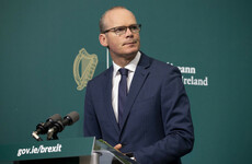 Defence Forces have been 'under-resourced for a long time', Coveney says