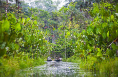 Oil spill pollutes nature reserve in Ecuador's Amazon