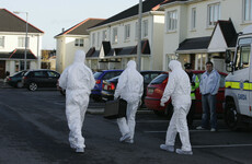 Disclosures Tribunal hears claims from Garda of 'systems failure' in Baiba Saulite case
